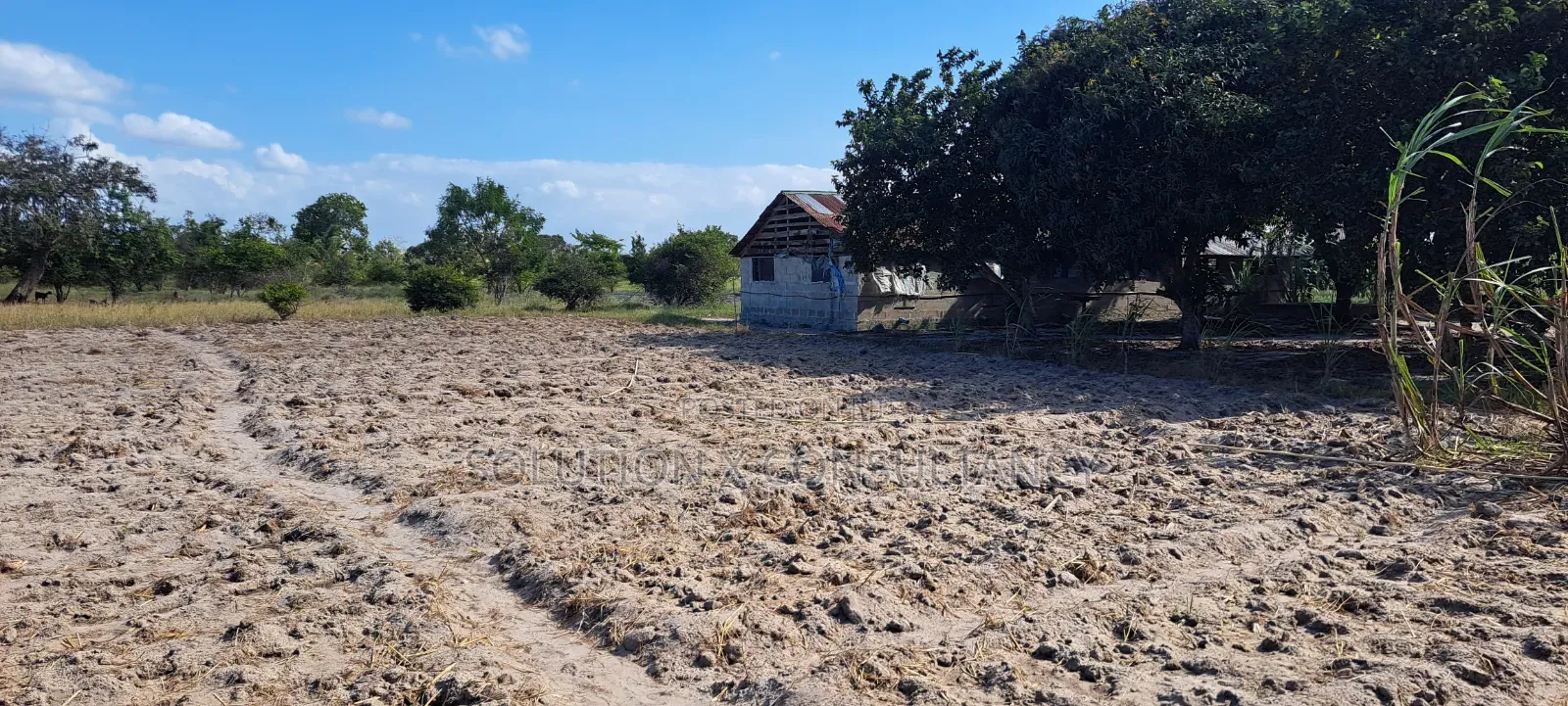 4 Acres for Sale at Kiromo Bagamoyo Pwani