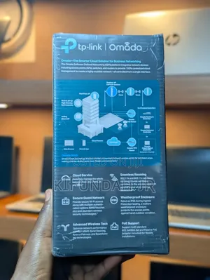 TP-Link Omada Outdoor Access Point –