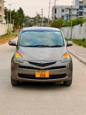 Toyota Ractis 2007 Gray