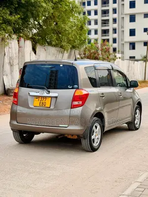 Toyota Ractis 2007 Gray