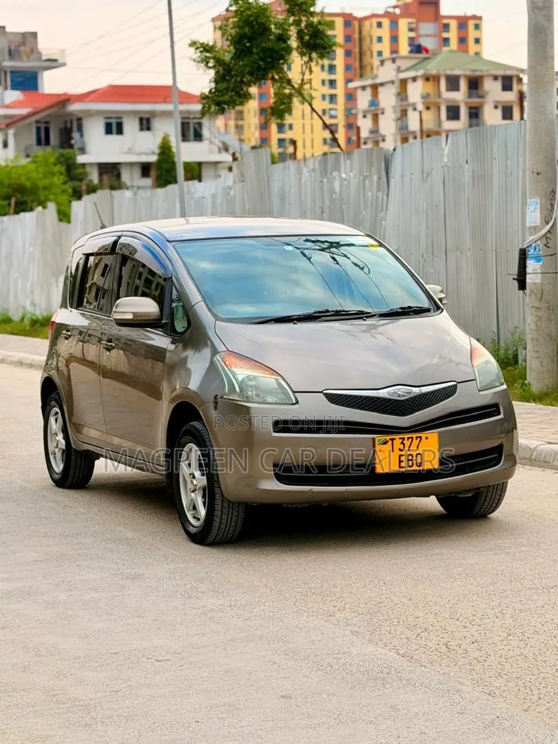 Toyota Ractis 2007 Gray