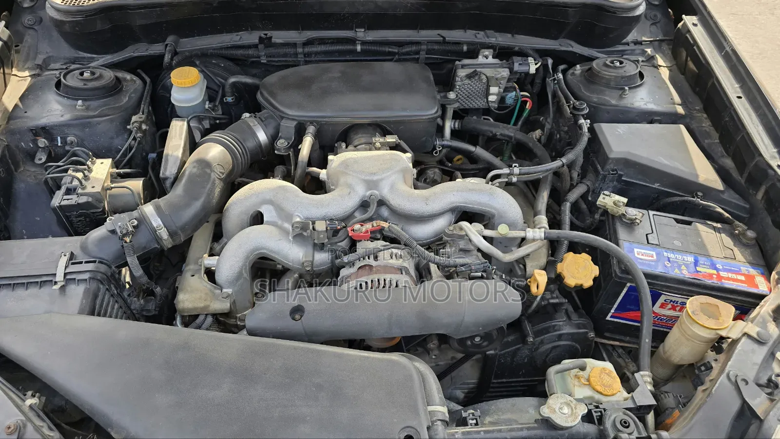 Toyota Harrier 2006 White
