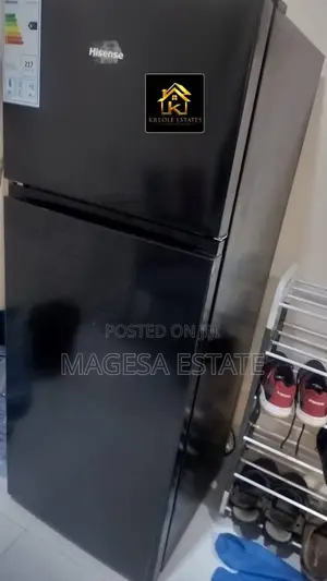 Furnished 1bdrm Apartment in Upanga West for rent
