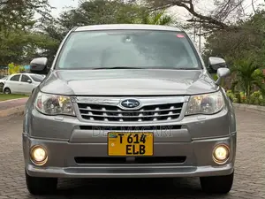 Subaru Forester 2011 Gray