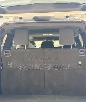 Toyota Land Cruiser 2024 Silver