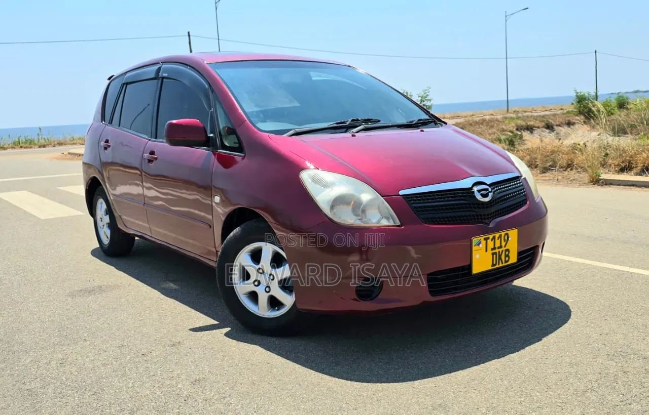 Toyota Corolla Spacio 2005 Maroon