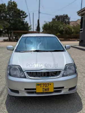 Toyota Allex 2005 Silver