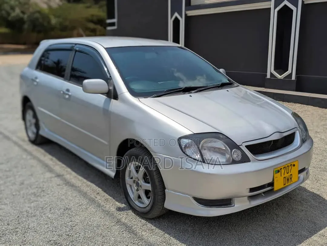 Toyota Allex 2005 Silver