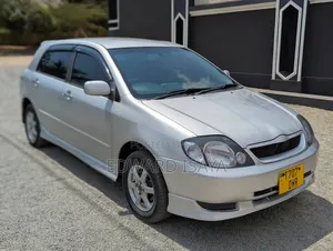 Toyota Allex 2005 Silver