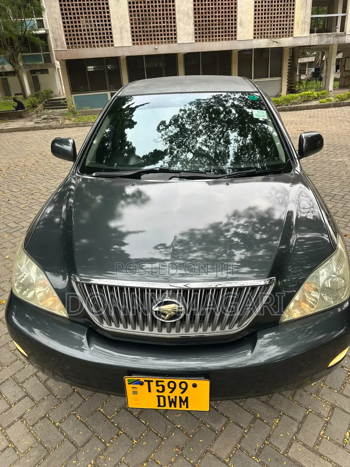 Toyota Harrier 2006 Gray