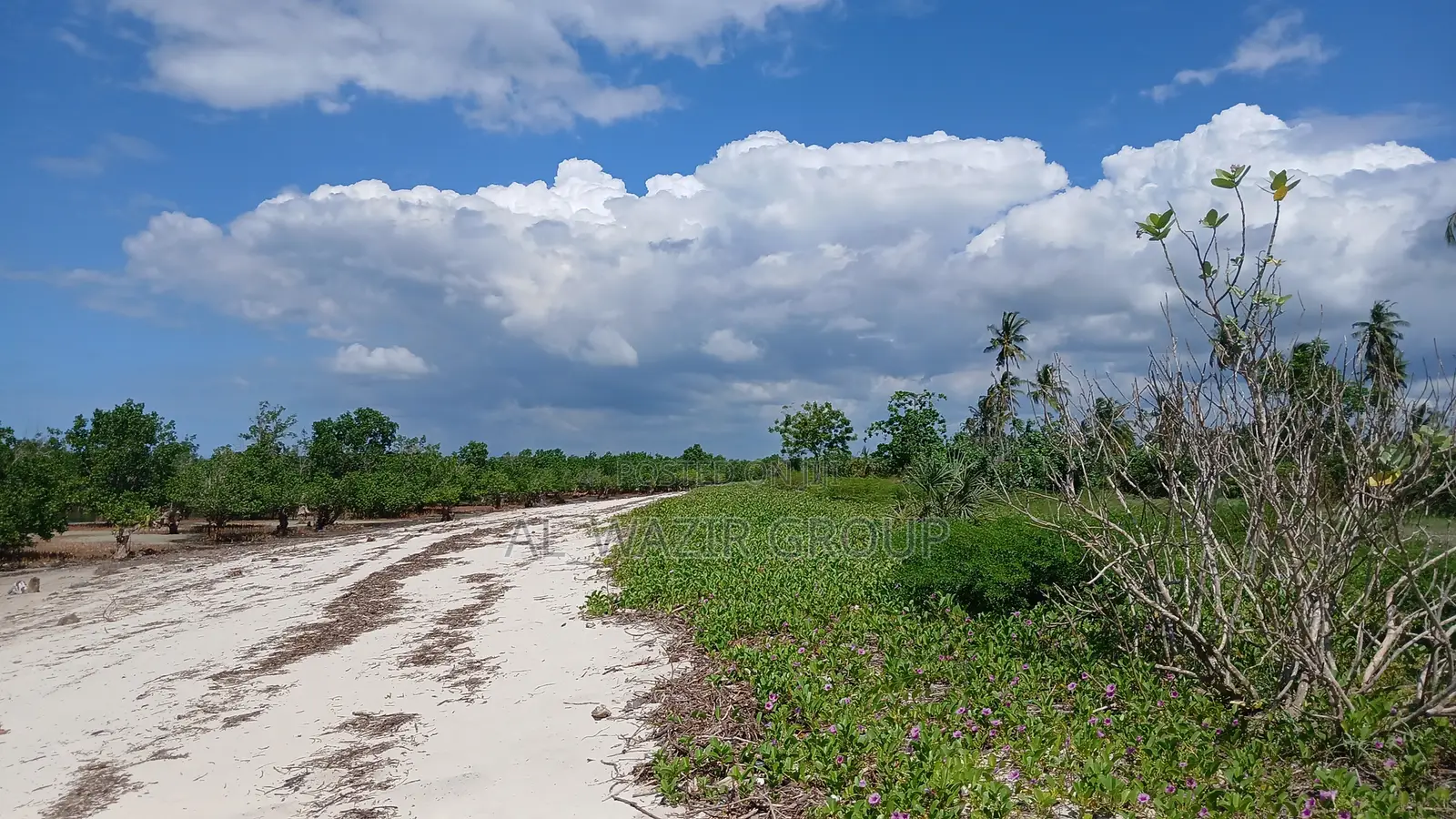 Beach Plot for Sale Bagamoyo Nunge Beach.