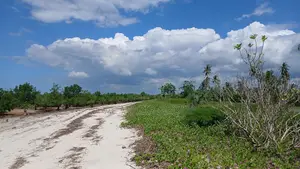Beach Plot for Sale Bagamoyo Nunge Beach.