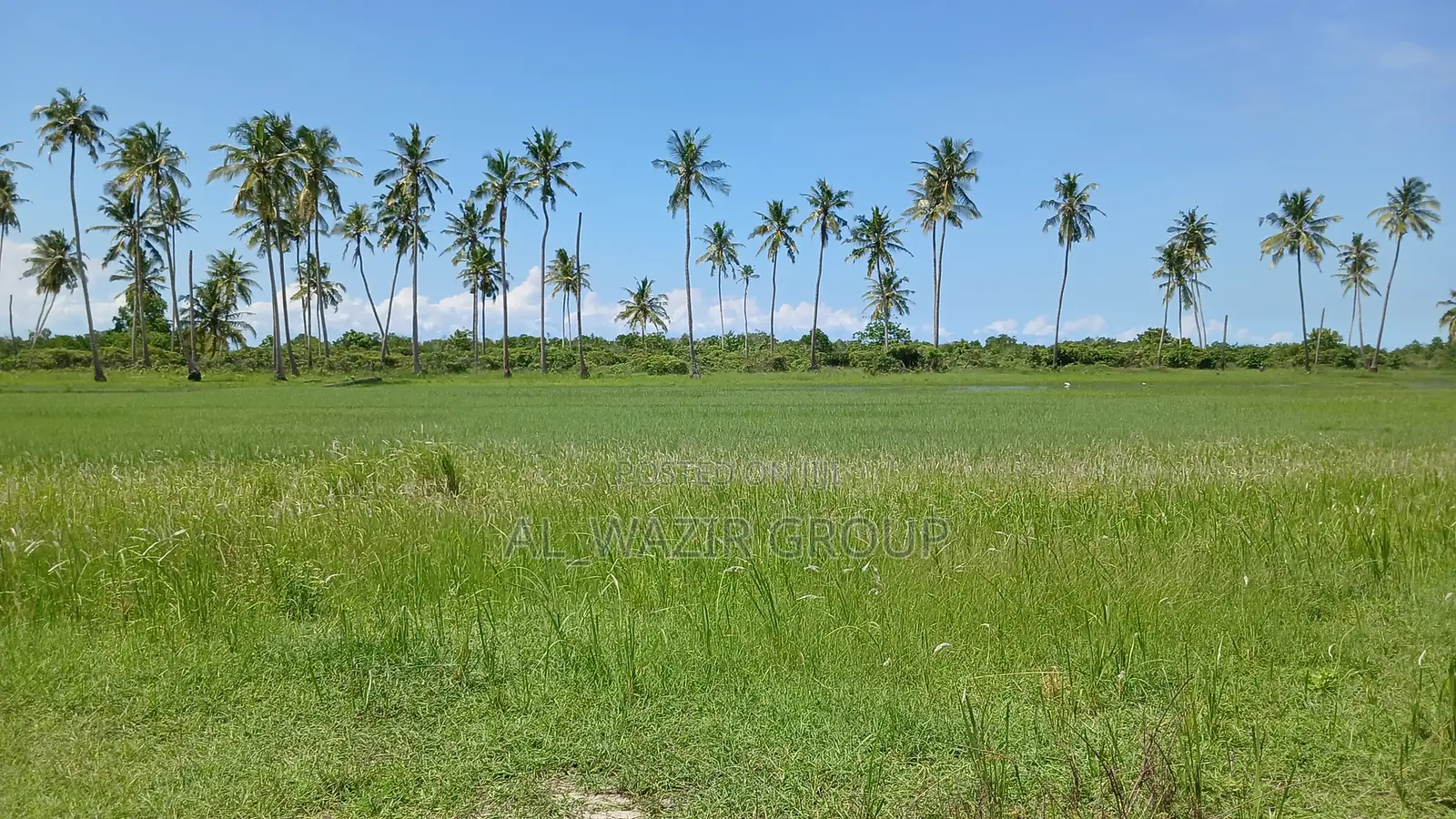 Beach Plot for Sale Bagamoyo Nunge Beach.