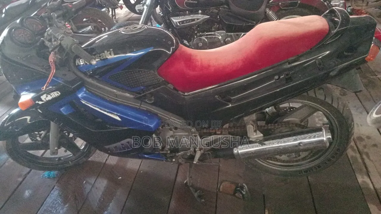 Kawasaki Ninja 300 1998 Blue