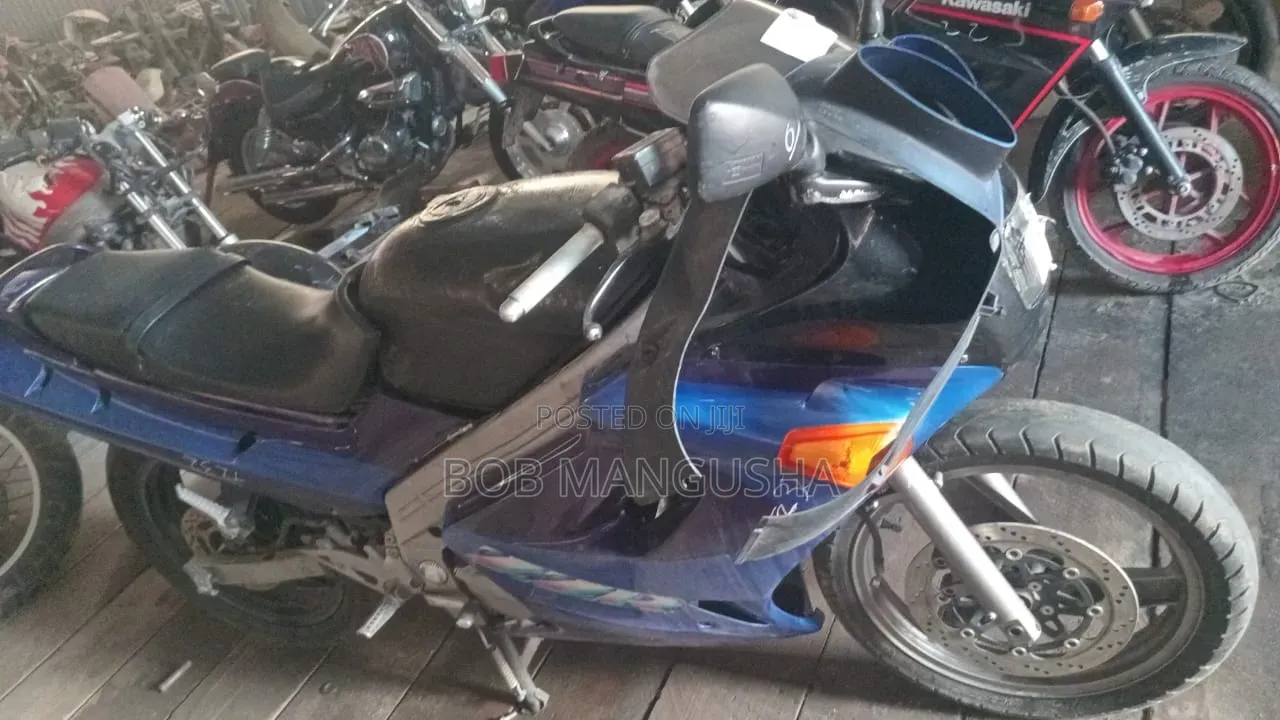 Kawasaki Ninja 300 1998 Blue