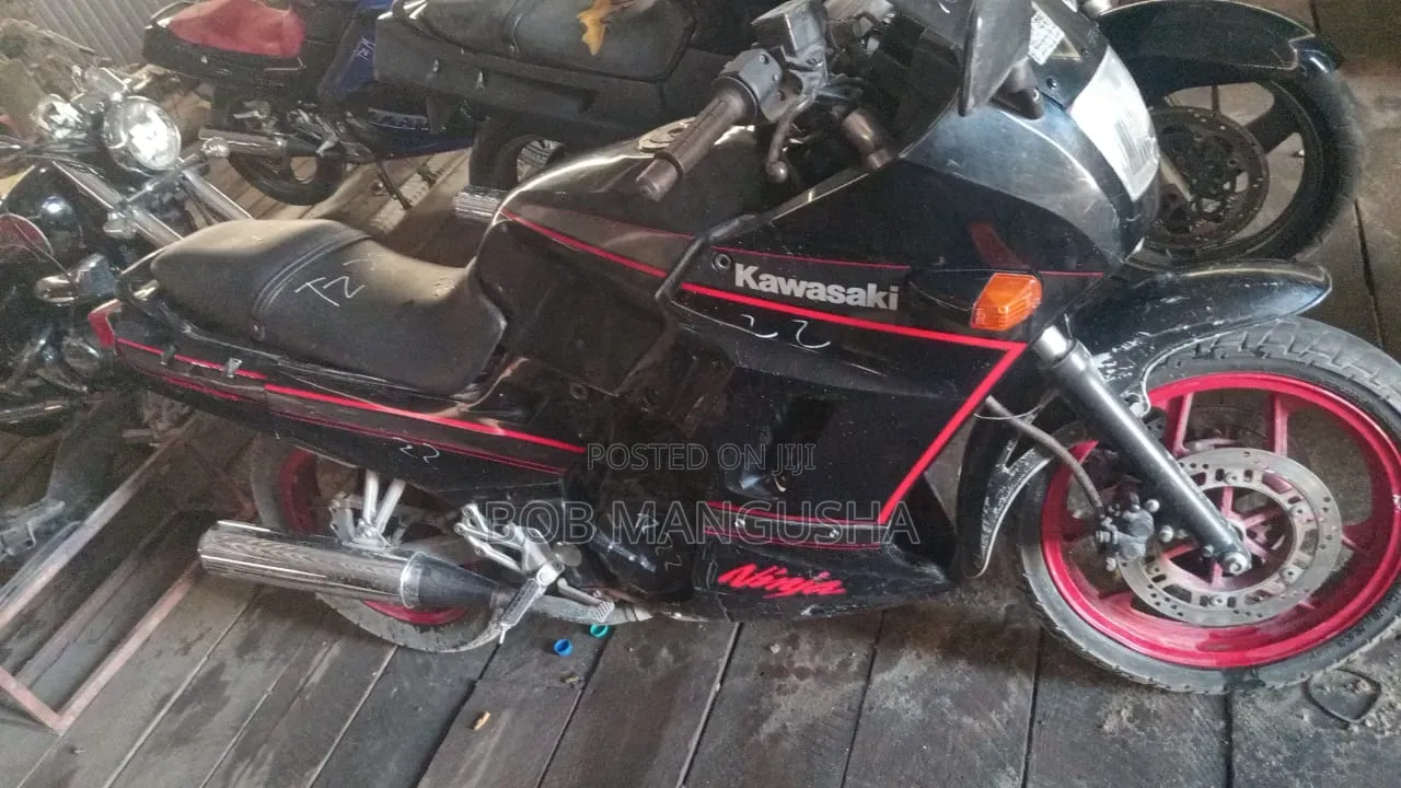 Kawasaki Ninja 300 1998 Blue