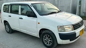 Toyota Probox 2009 Pearl