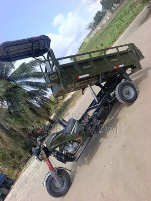 Bajaj 2025 Green