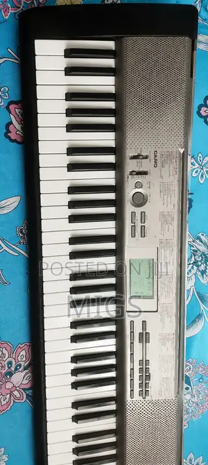 Casiolk120 Electric Lighting Piano