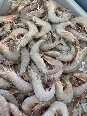 Tunauza White Prawns Kwa Jumla Na Rejareja
