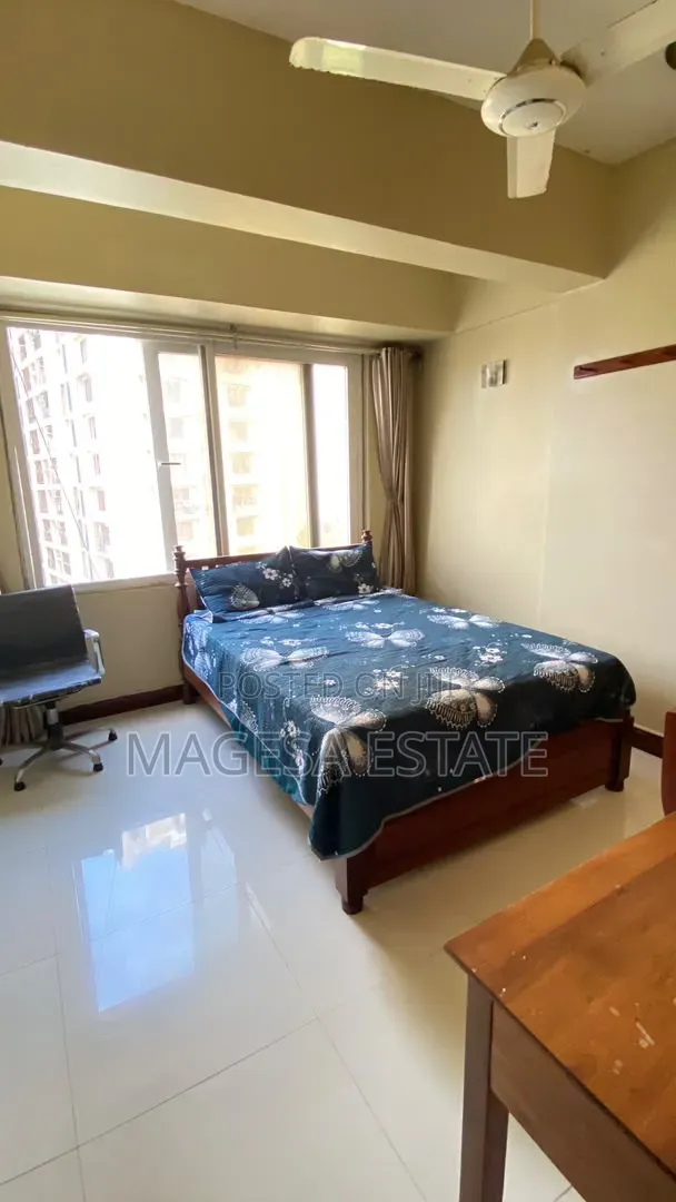Furnished 3bdrm Apartment in Upanga for rent