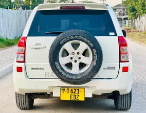 Suzuki Escudo 2009 Pearl