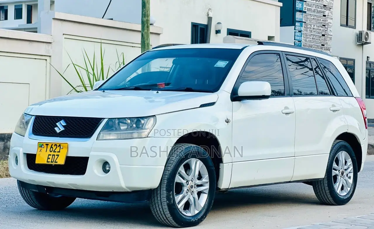 Suzuki Escudo 2009 Pearl