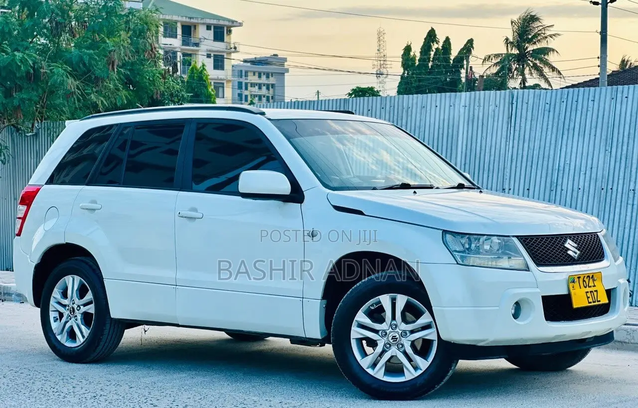 Suzuki Escudo 2009 Pearl