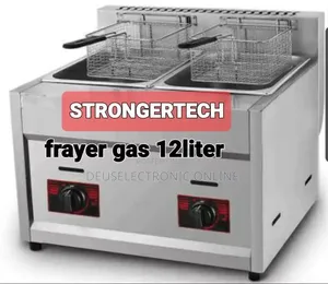 Deep Fryer 6L+6L 12L Gas