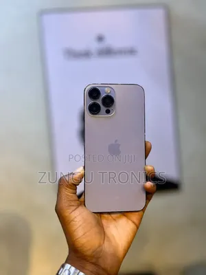 Apple iPhone 15 Pro Max 256 GB Silver