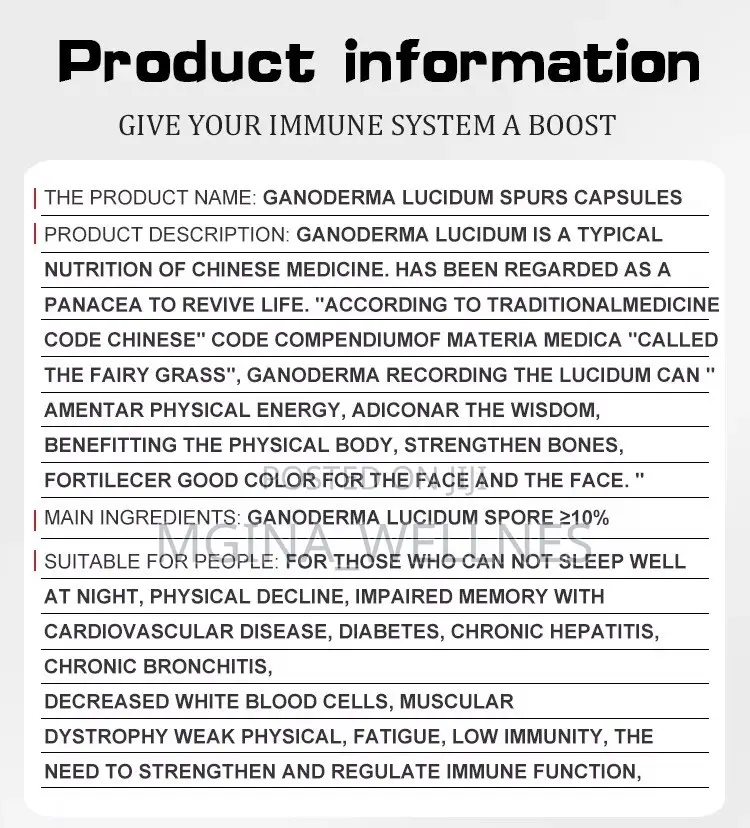 Ganoderma Lucidum Spores Capsules Premium Immune Vitality Support
