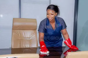 Proffesional Cleaner