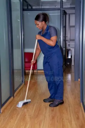 Proffesional Cleaner