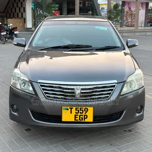 Toyota Premio 2008 Gray