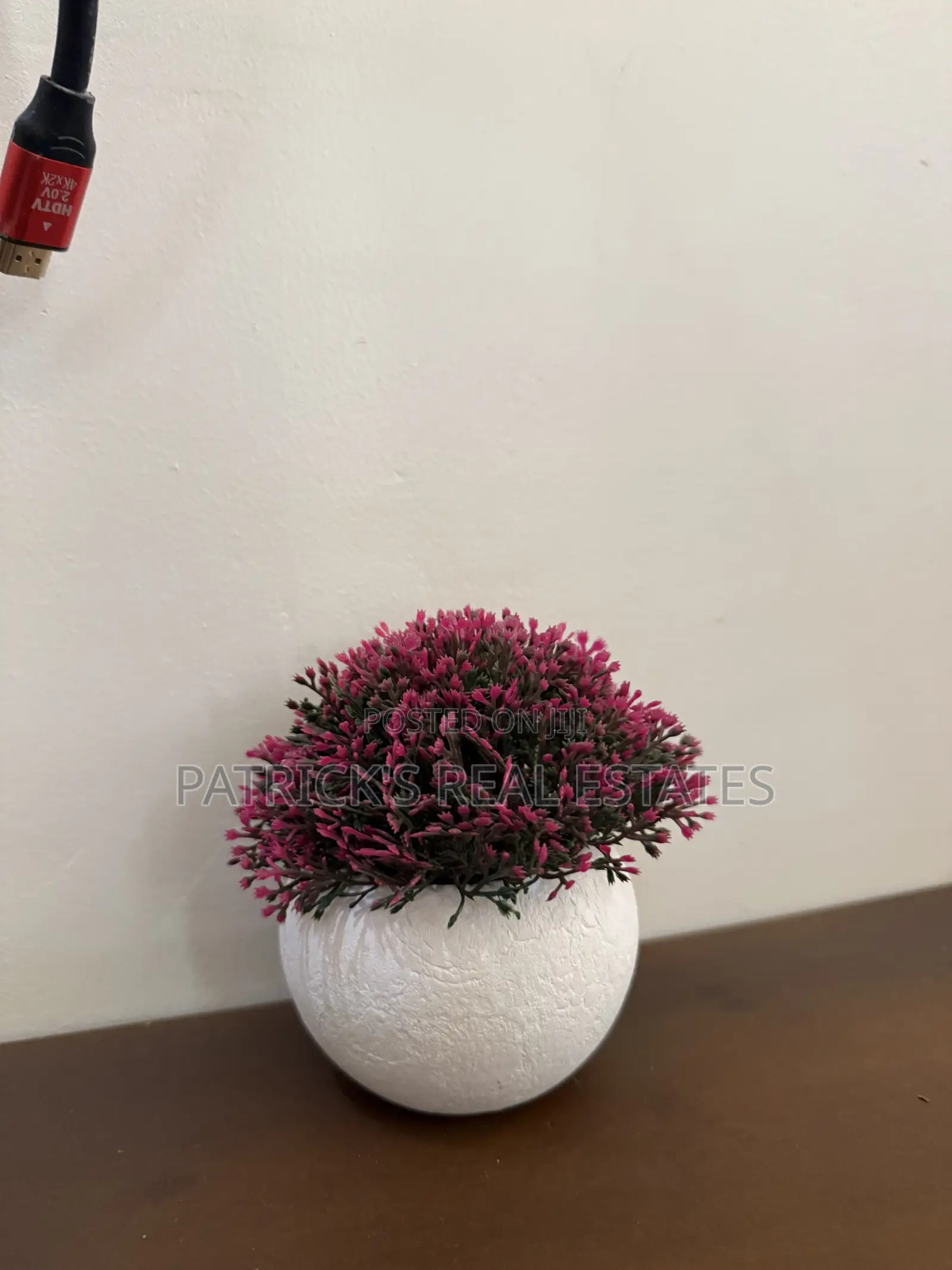 Furnished 1bdrm Apartment in Dar es Salaam for rent