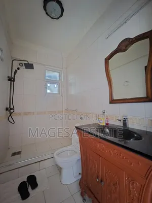 Furnished 3bdrm Apartment in Masaki for rent