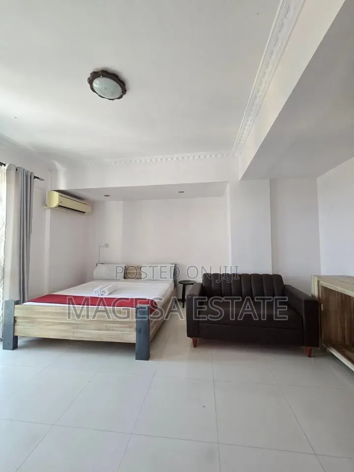 Furnished 3bdrm Apartment in Masaki for rent