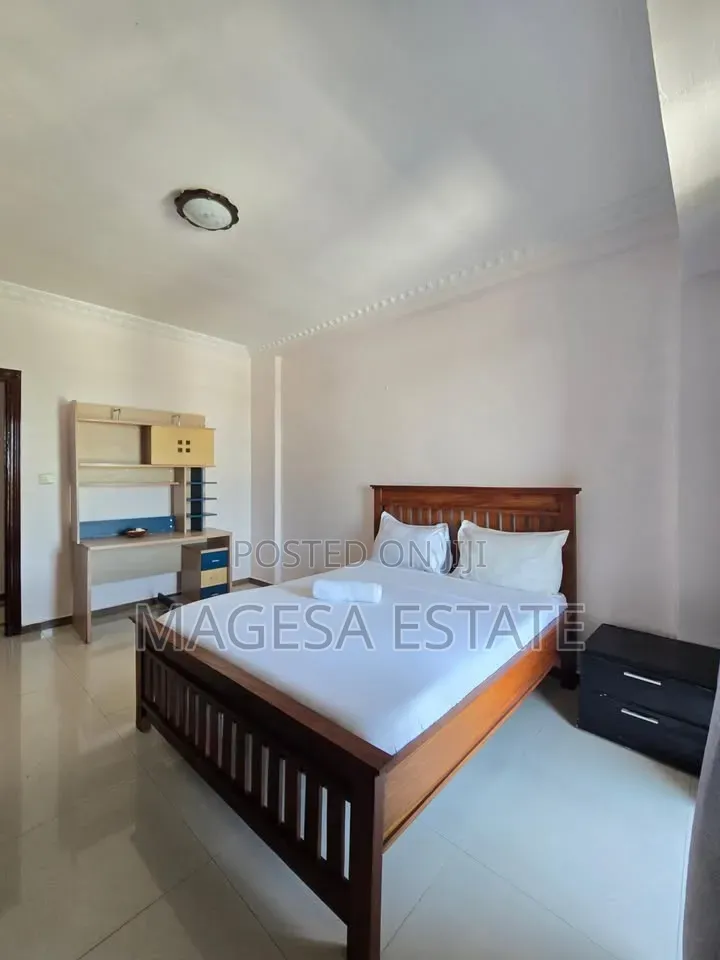 Furnished 3bdrm Apartment in Masaki for rent