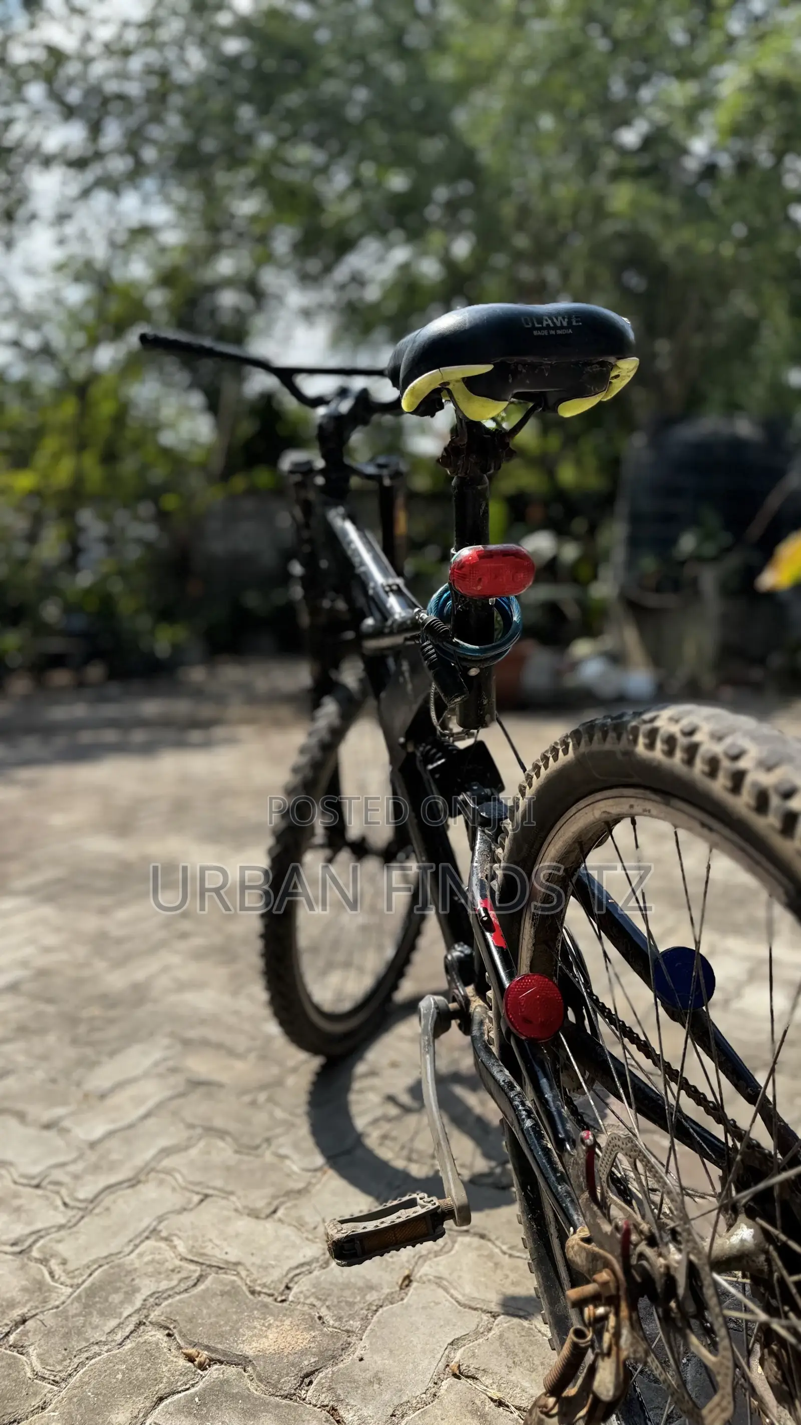 Bigfoot Mountain Bike