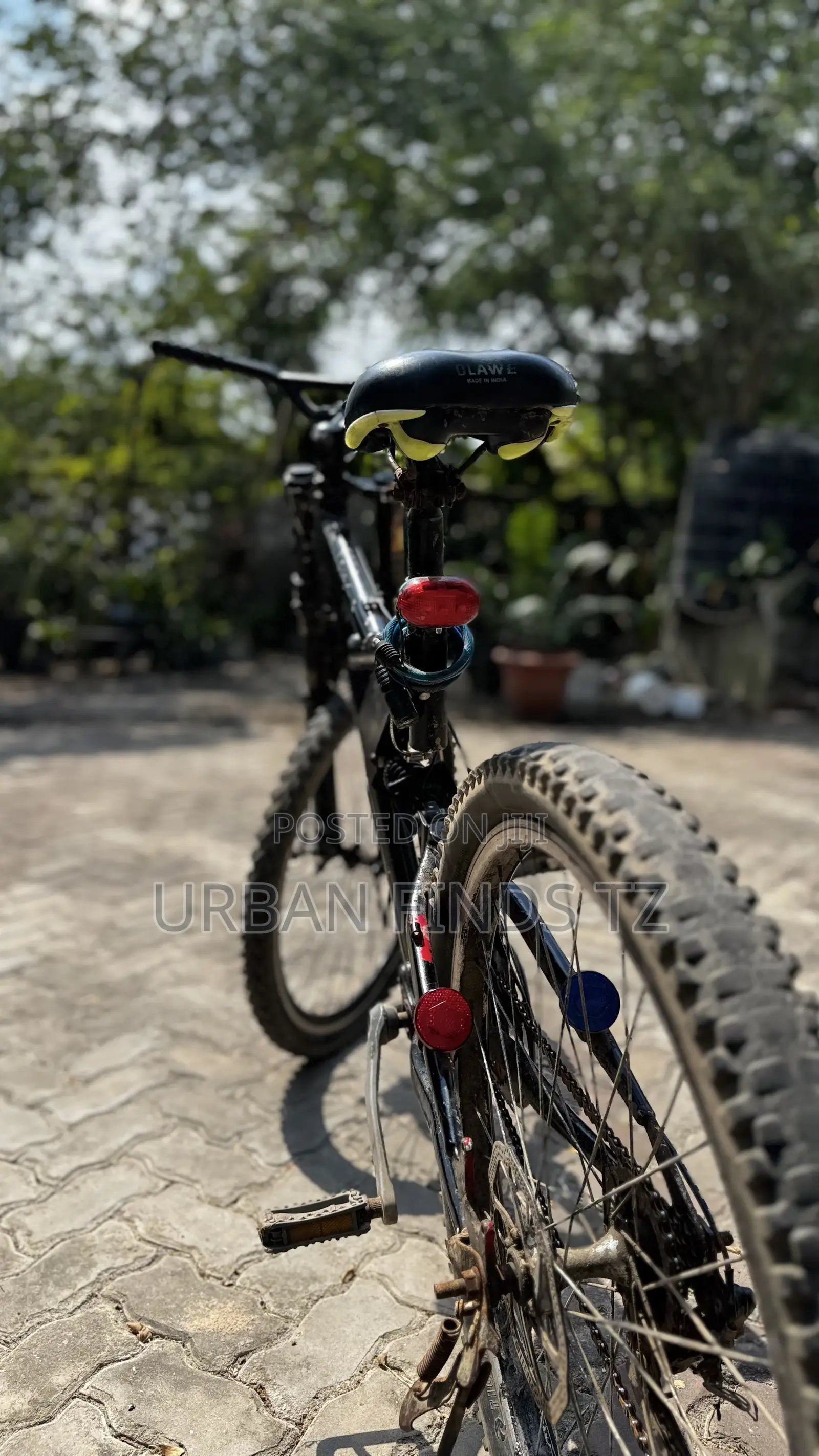 Bigfoot Mountain Bike