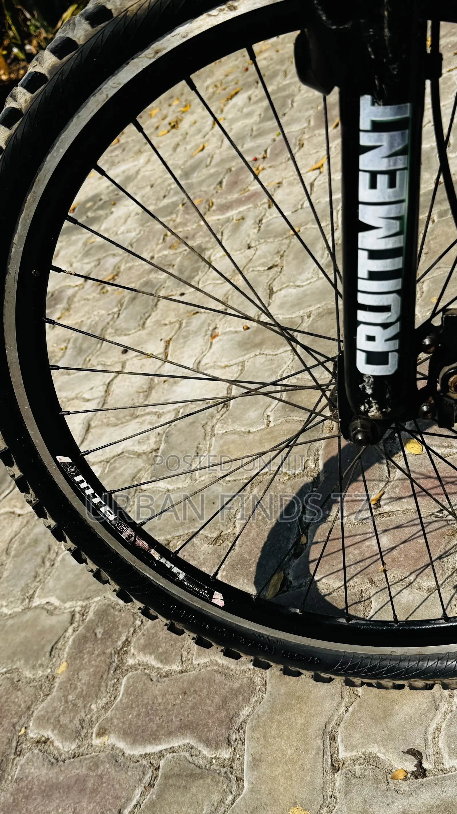 Bigfoot Mountain Bike