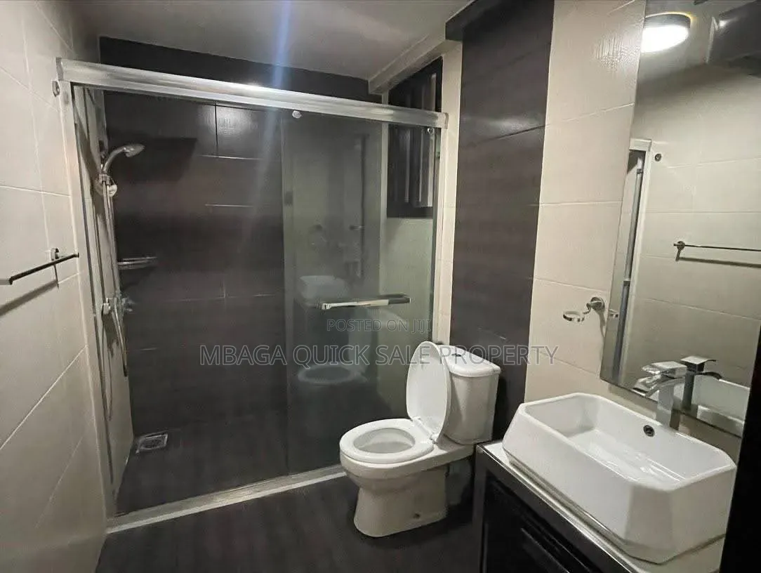 Furnished 3bdrm Apartment in Masaki for rent