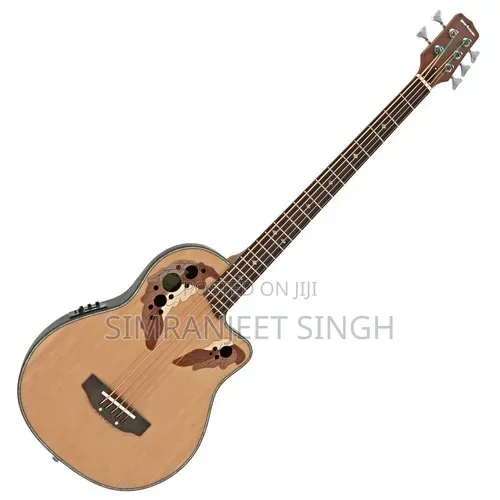Electro Acoustic Guitar