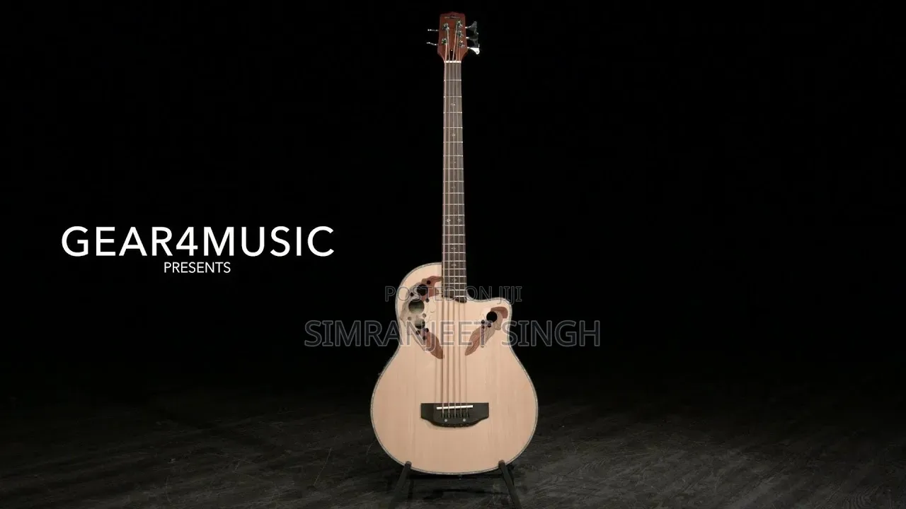 Electro Acoustic Guitar