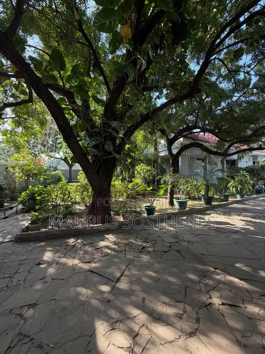 Furnished 3bdrm House in Masaki for rent