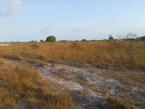 7 5acres at Kigamboni Mwasonga