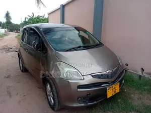 Toyota Ractis 2005 Gray