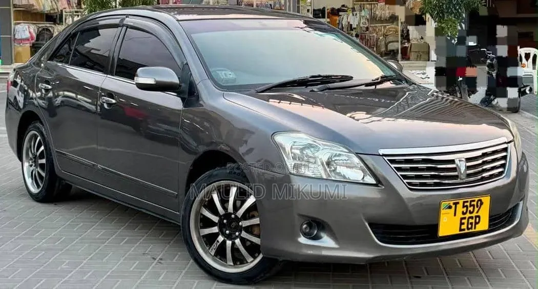 Toyota Premio 2009 Gray