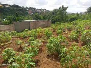 Kiwanja Kinauzwa Bunyokwa Bei Nzuri Sana