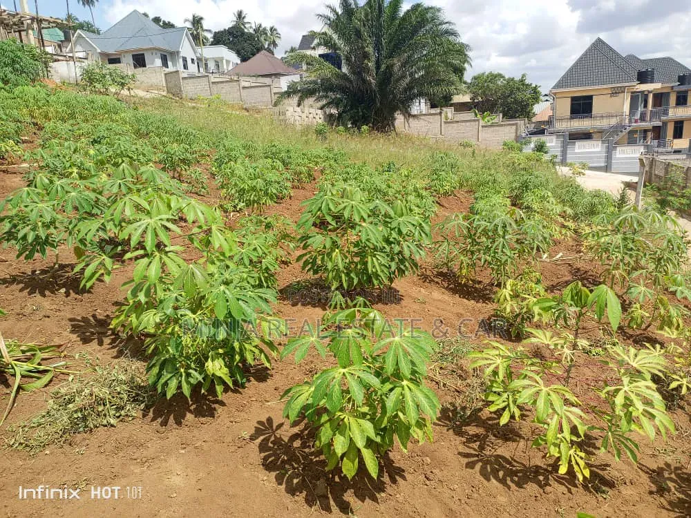 Kiwanja Kinauzwa Bunyokwa Bei Nzuri Sana
